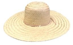 CHAPEU PALHA PANTANEIRO GROSSO C/ARAM.ABA 12 REF.602 C/6